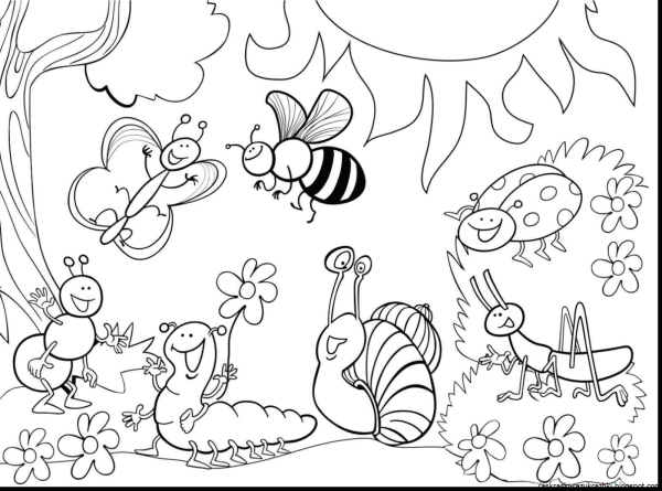 Насекомые. Раскраска