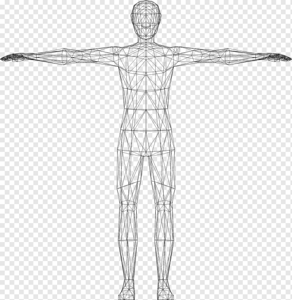 Как нарисовать тело человека пропорции