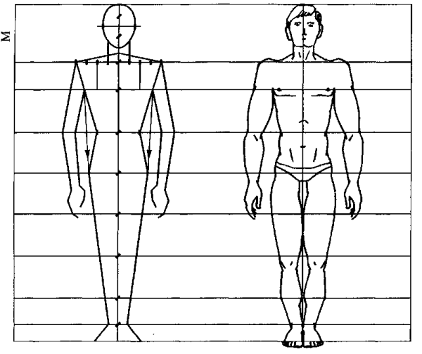 Очертание человека