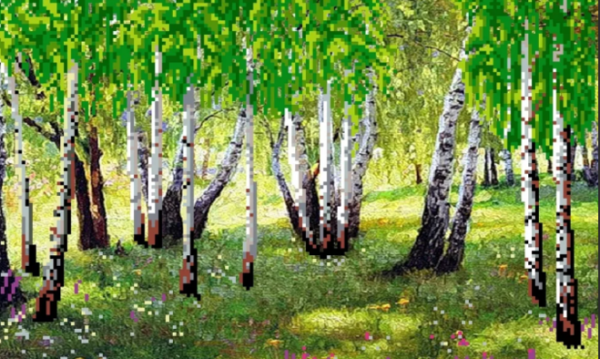 Елена Самарская Березовая роща