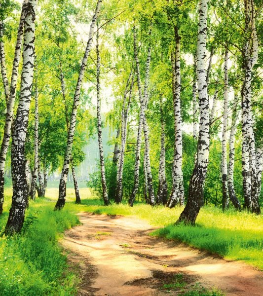 Художник Сергей Сержпинский картины