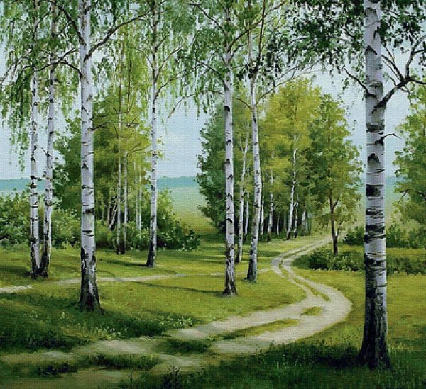 Березовая роща картина Елены Самарской