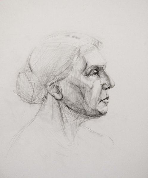 Пьетро Аннигони портрет