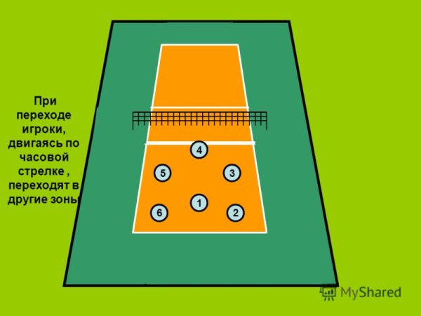Волейбольная площадка с зонами игроков