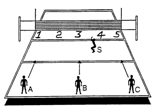 Волейбольное поле зоны игроков на площадке