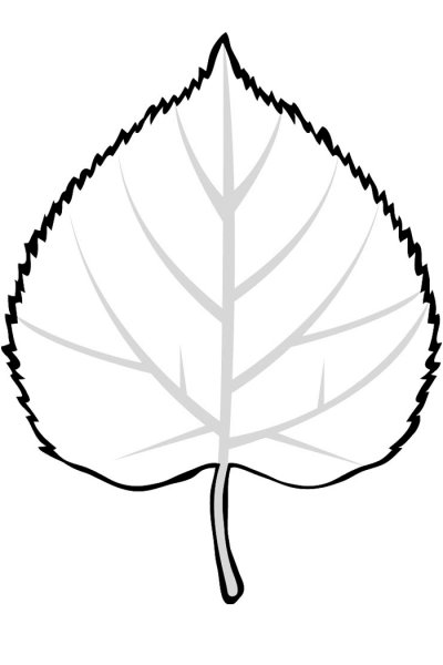 Лист березы для детей