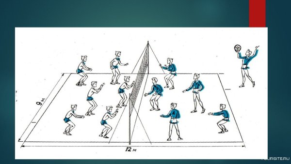 Волейбол расстановка игроков на площадке