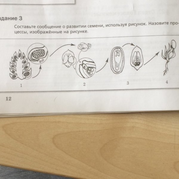 Назовите процессы изображенные на рисунке