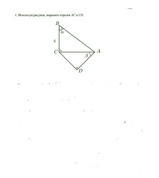 Используя рисунок приведите примеры