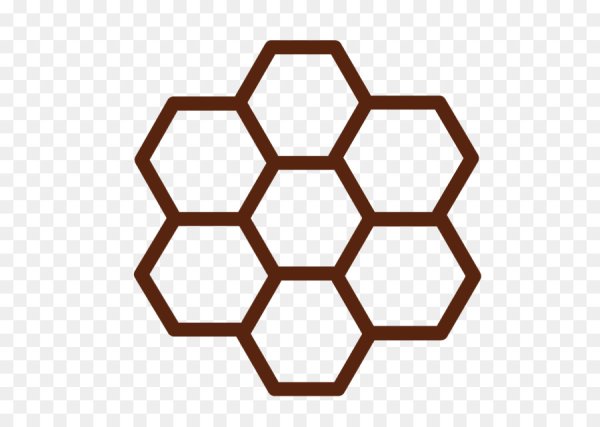 Соты прозрачные