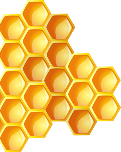 Соты для детей