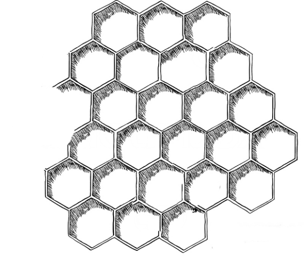 Соты рисунок