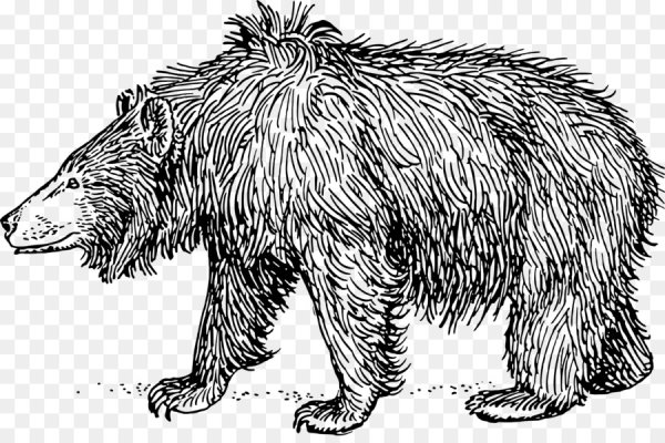 Медведь Гризли