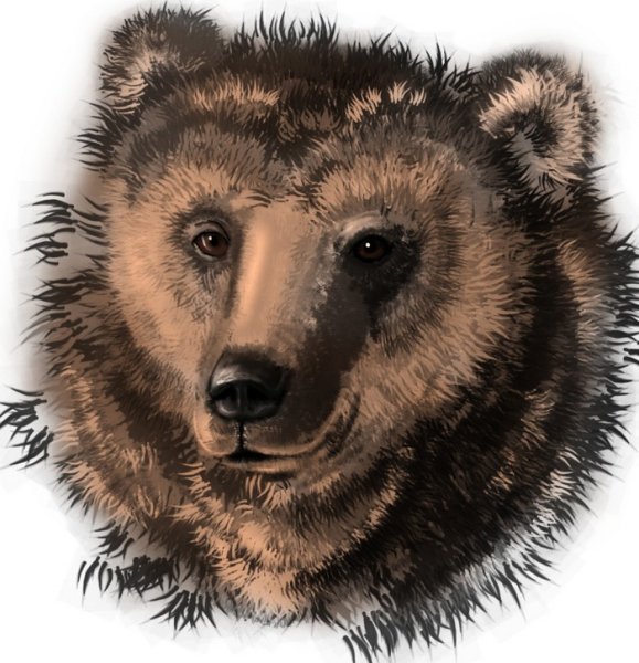 Анимационная морда медведя