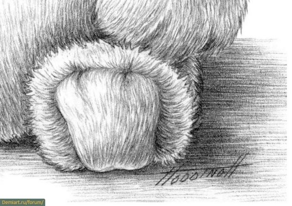 Рисунки штриховкой животные