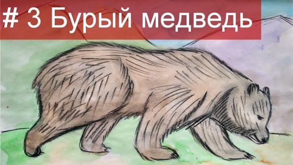 Рисуем шерсть медведя