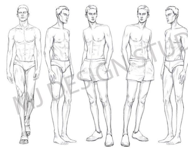 Мужская модель для рисования