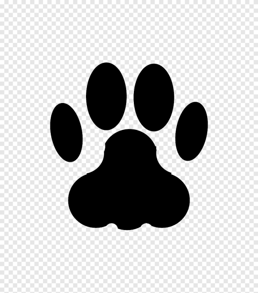 Следы кошки