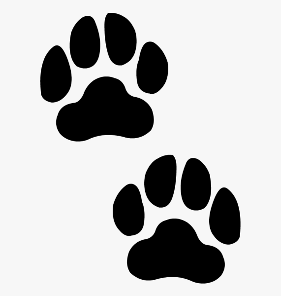 Отпечаток лапки кота