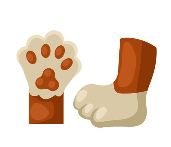 Лапа карточка