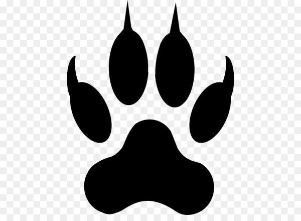 Отпечаток лапы волка