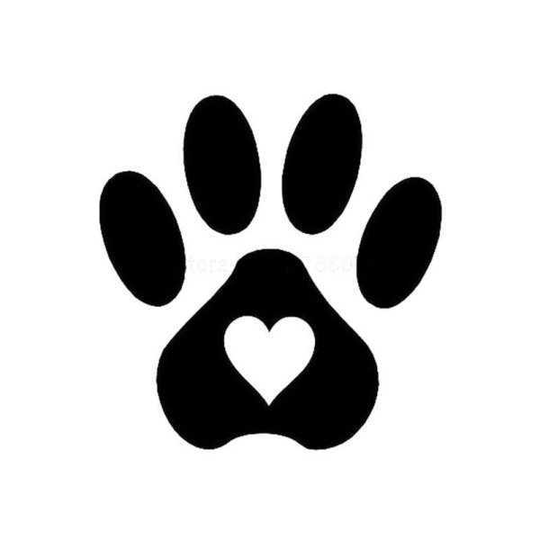 Отпечаток лапы кота