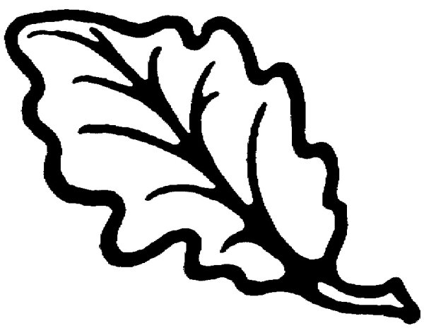Лист дуба раскраска