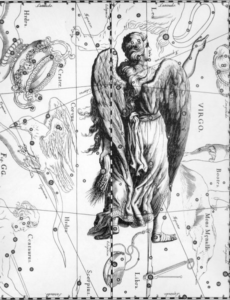 Дева Virgo Созвездие