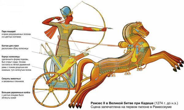 Боевая колесница в древнем Египте