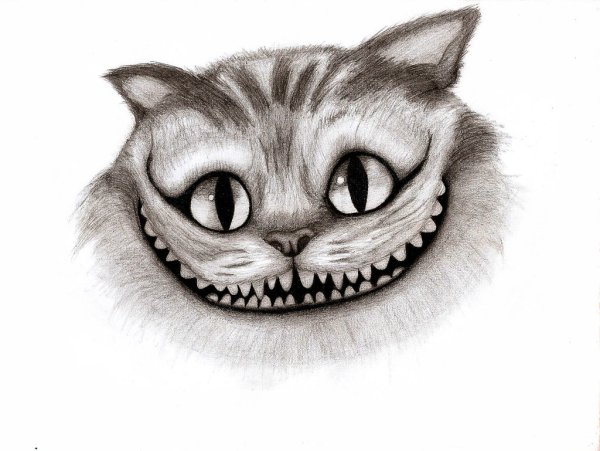Чеширский кот