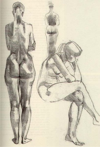 Готфрид Баммес анатомия