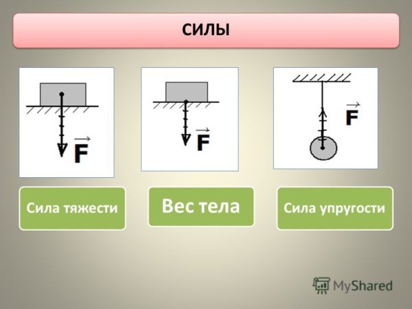 Сила тяжести и упругости на схеме