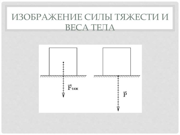 Изображение силы тяжести и веса тела