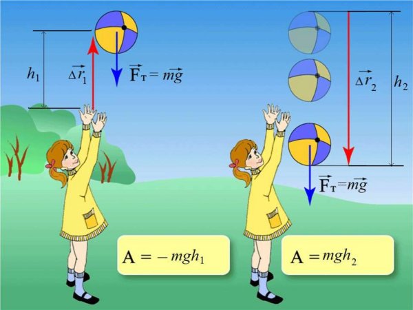 Масса и вес тела физика 7 класс