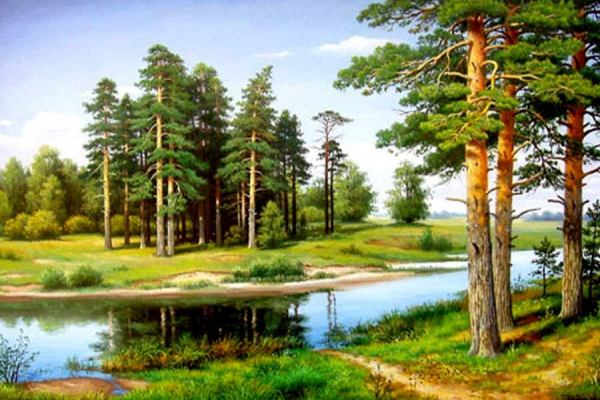 Художник Владимир Иродионович Бебия