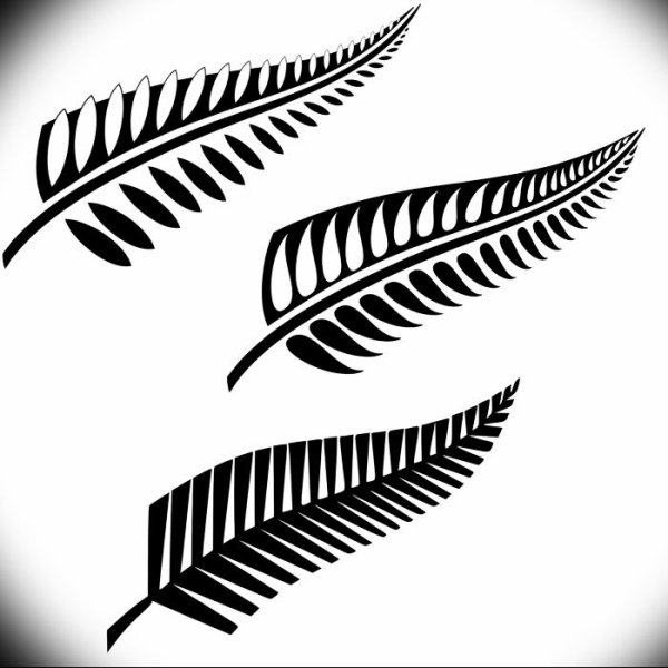 Папоротник Маори