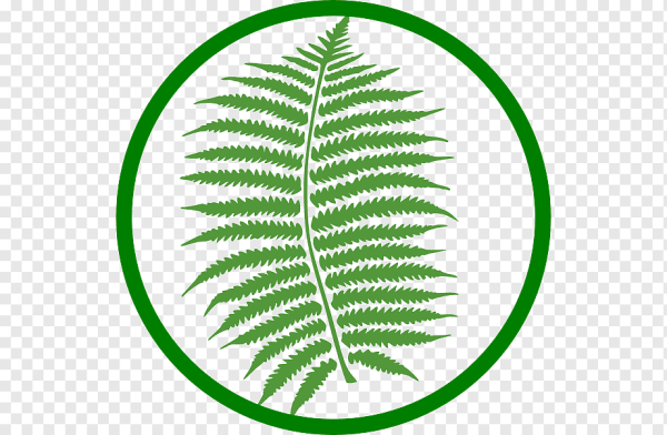Векторный папоротник