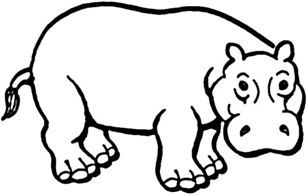 Бегемот раскраска