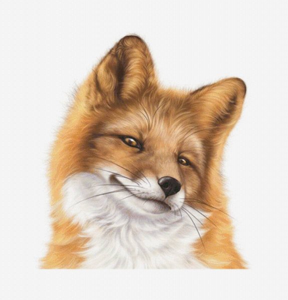 Мордочка лисички