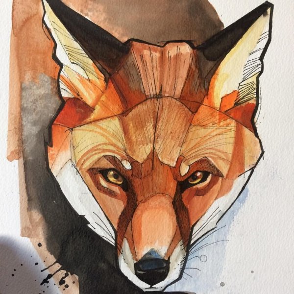 Морда лисы акварелью