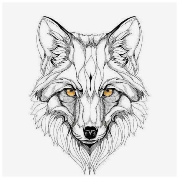 Морда лисы тату эскизы