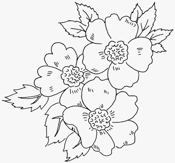 Рисунки для вышивки