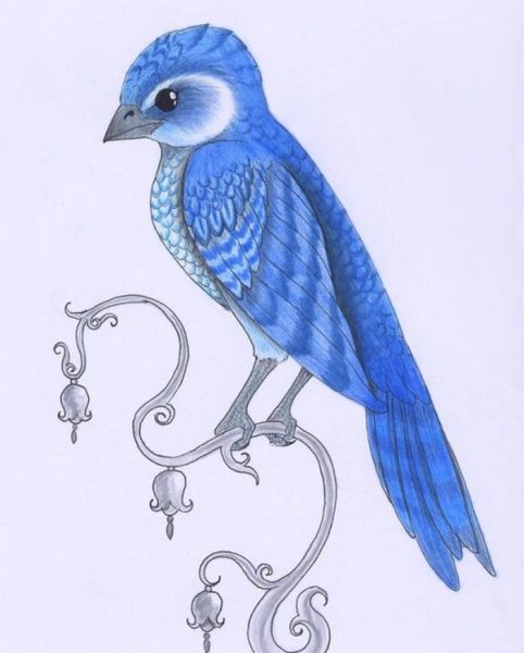 Болтрушайка Гарри Поттер