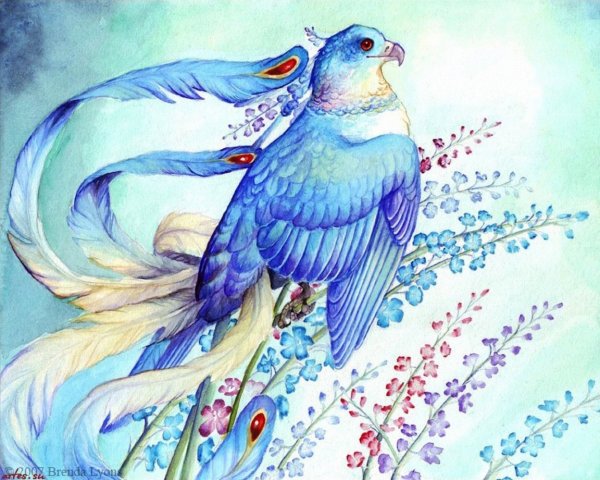 Птица рисунок