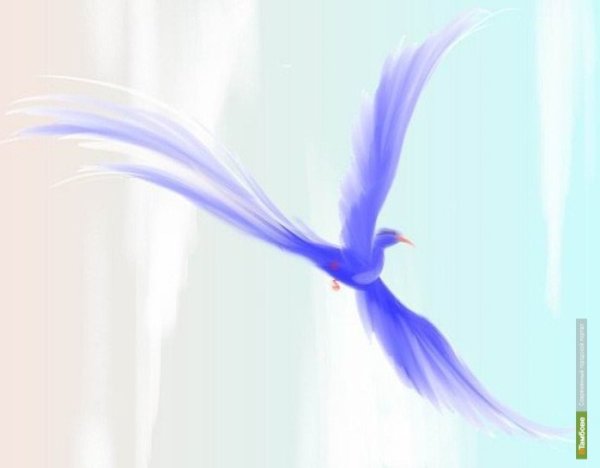 Синяя птица открытка