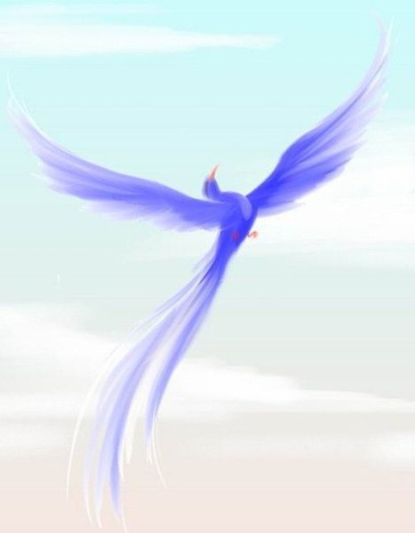 Птица счастья