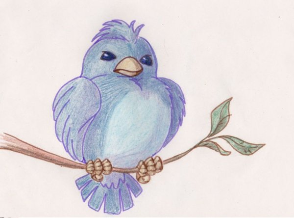 Рисунок синей птицы