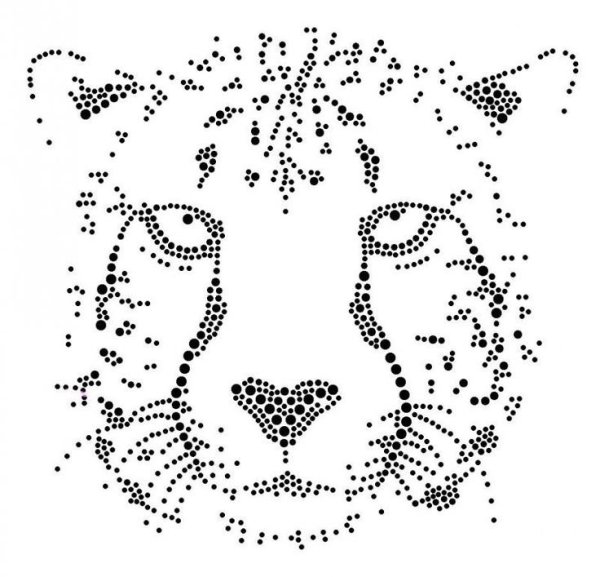 Пуантель Графика