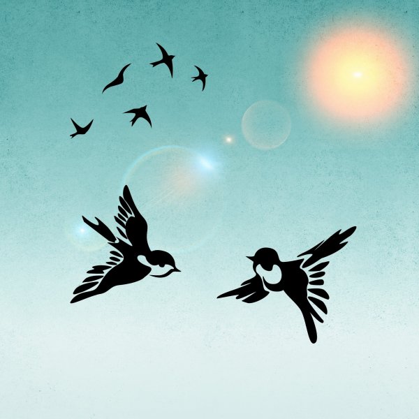 Нарисовать птицу в небе