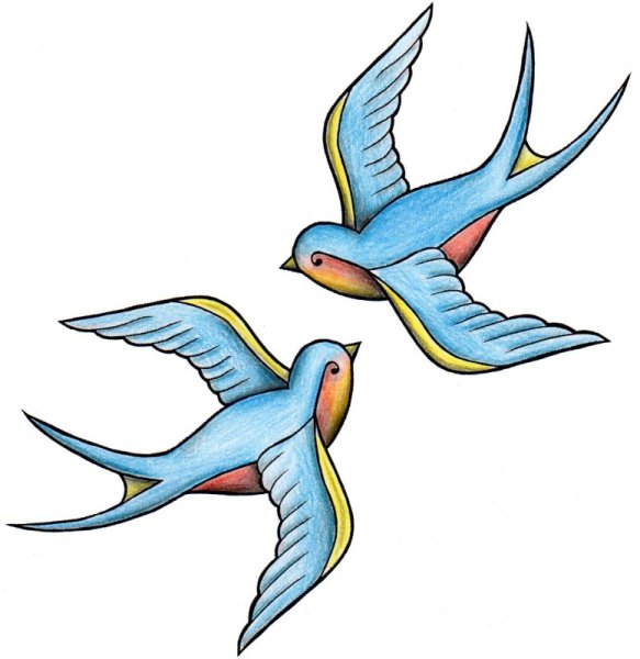 Ласточка рисунок